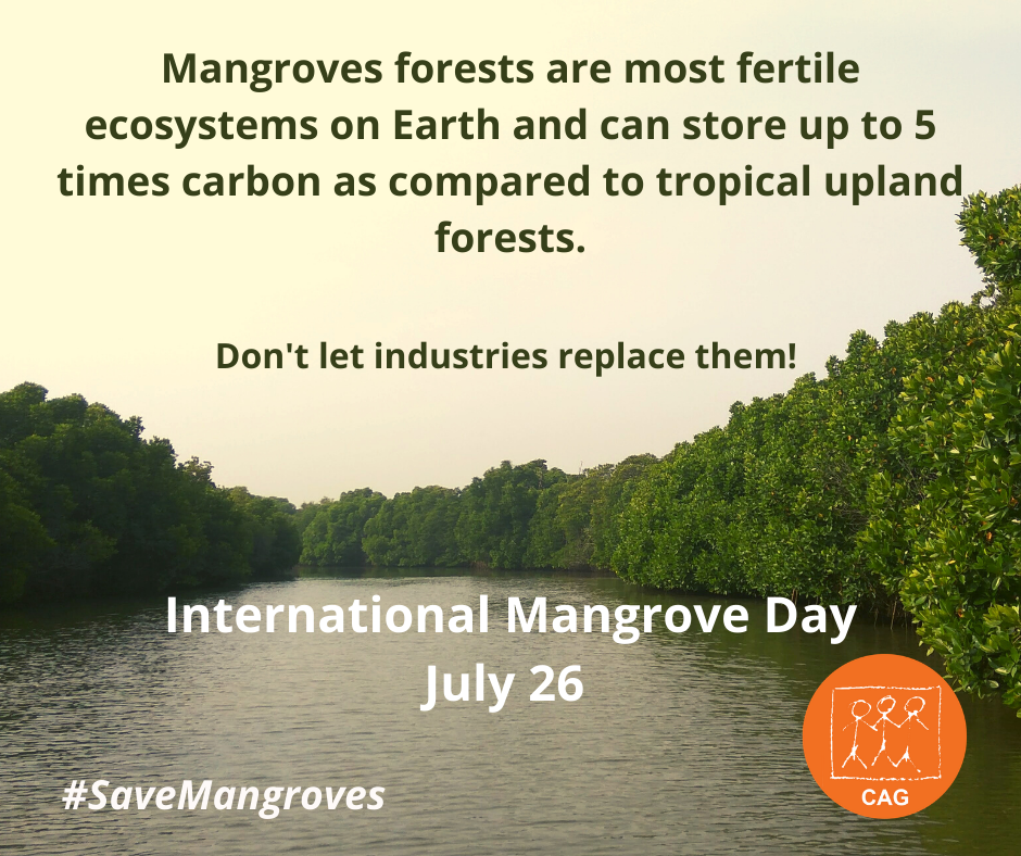 International Mangrove Day