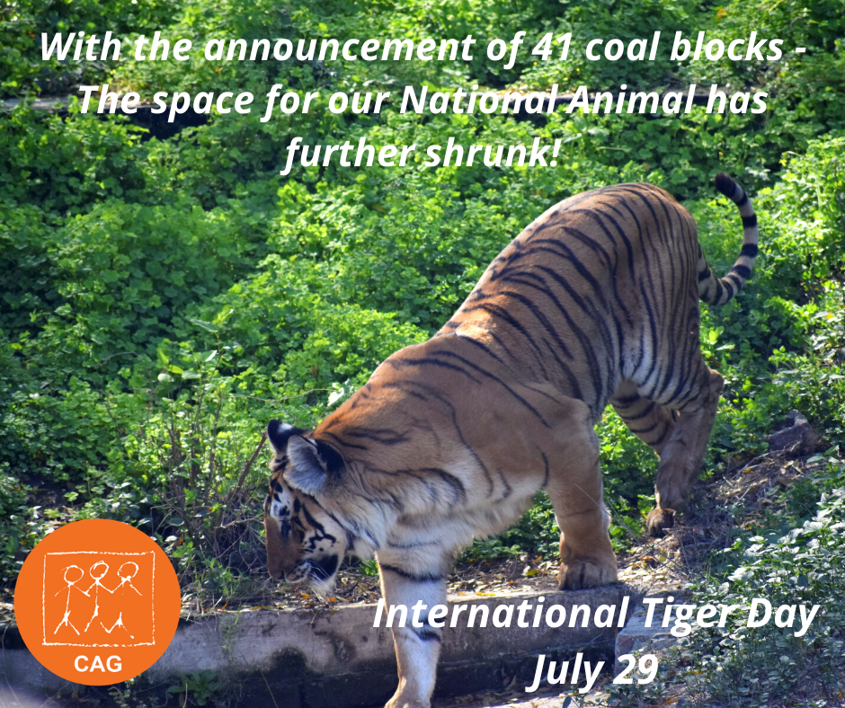 International Tiger Day