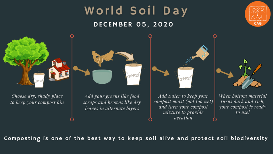 World Soil Day 2020